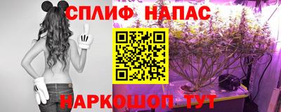 ешки Краснознаменск