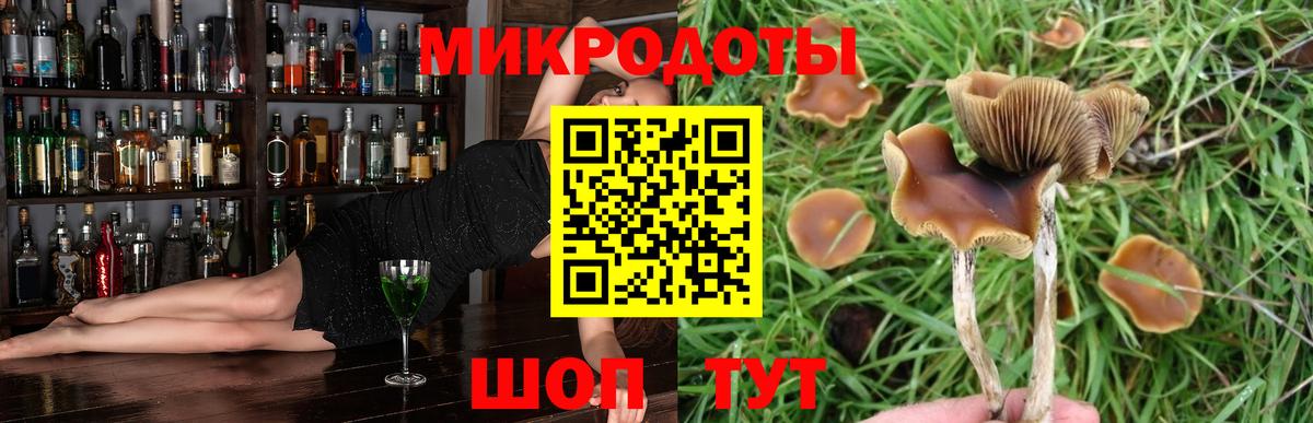 Галлюциногенные грибы мухоморы  Вход с VPN  Касимов 